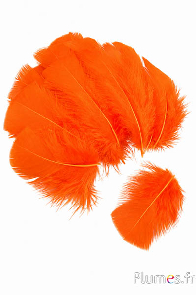 Pute - 6-8 cm - orange